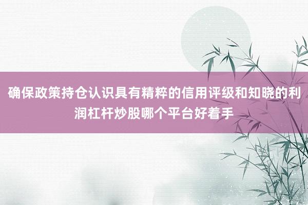 确保政策持仓认识具有精粹的信用评级和知晓的利润杠杆炒股哪个平台好着手