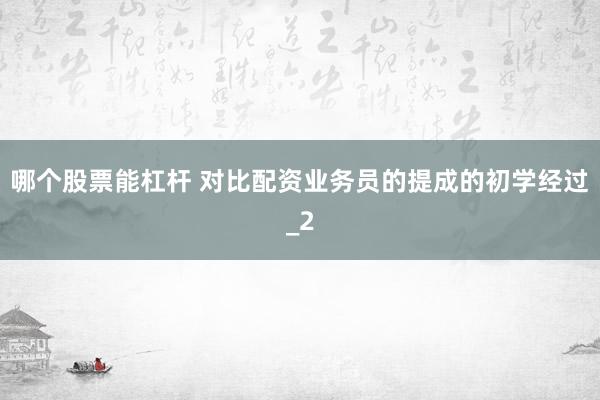 哪个股票能杠杆 对比配资业务员的提成的初学经过_2